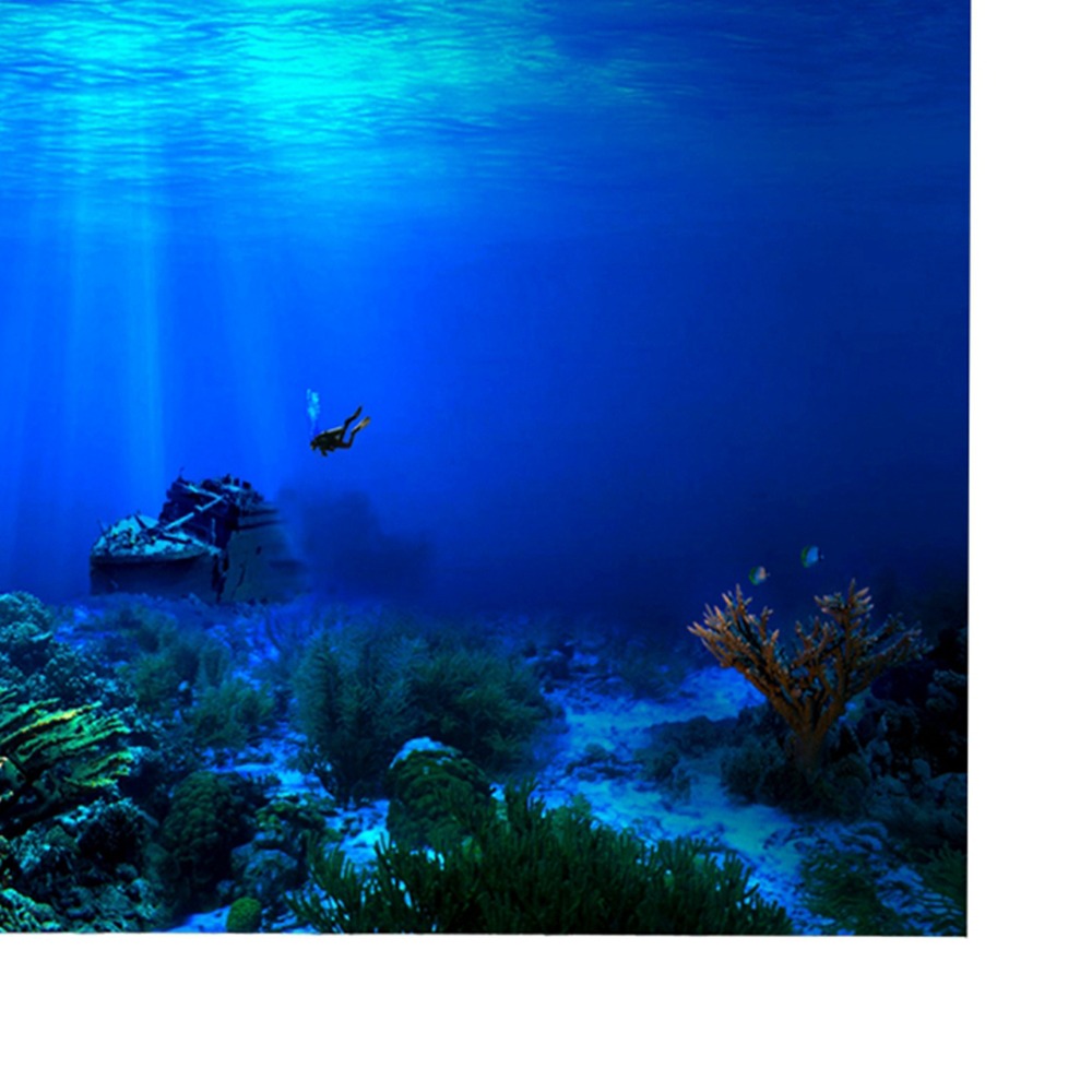PVC Aquarium Background Poster - Aquarium Fish Poster 评论和价格
