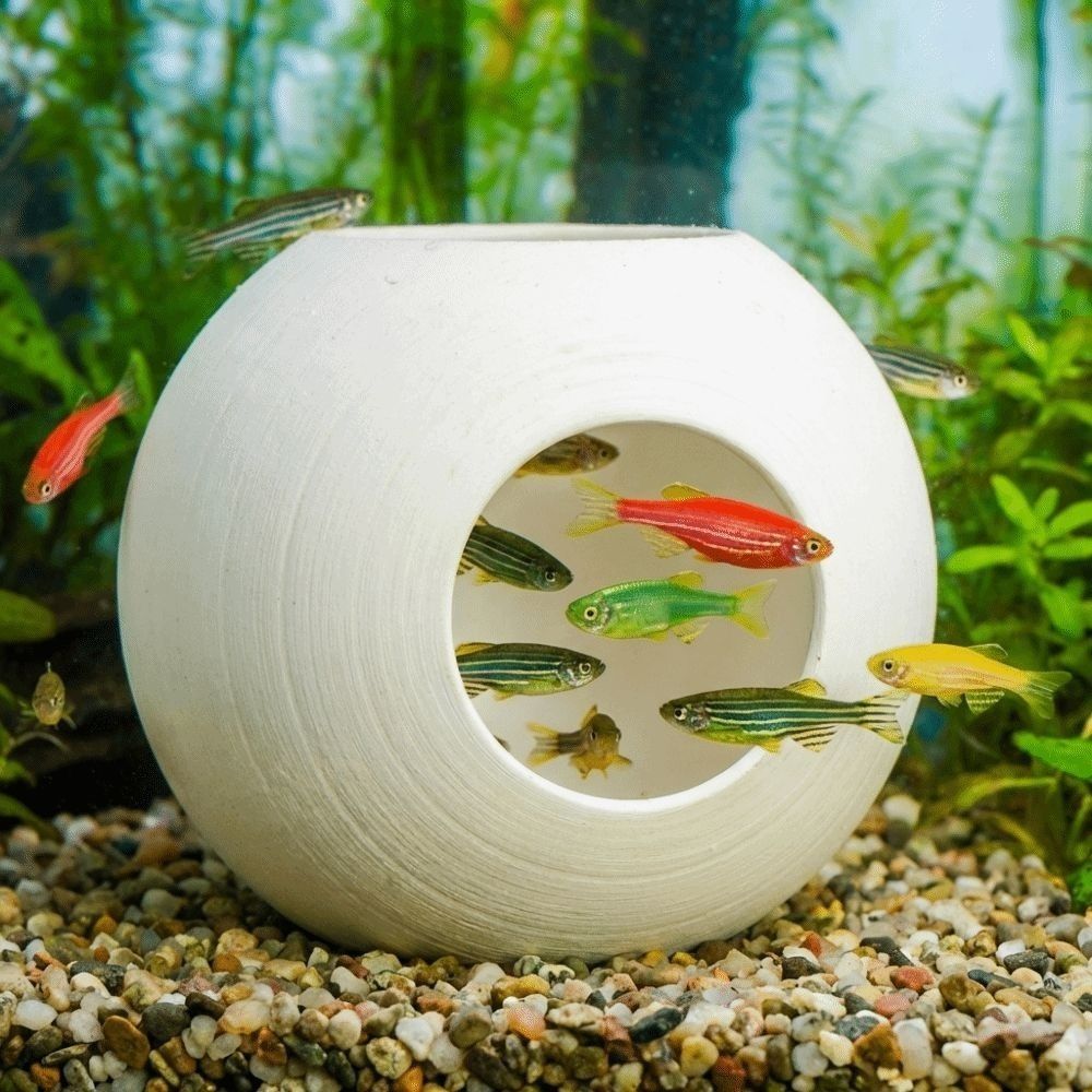 Plastic Fish Shrimp Hiding Cav - Aquarium Fish Discus 评论和价格