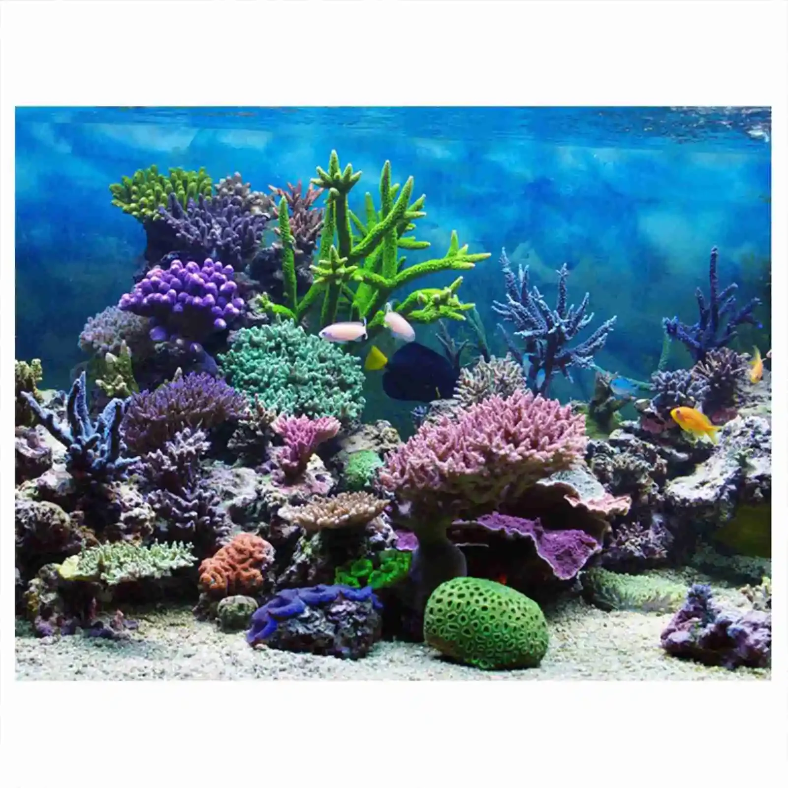 3D Aquarium Landscape Poster R - Aquarium Fish Poster 评论和价格