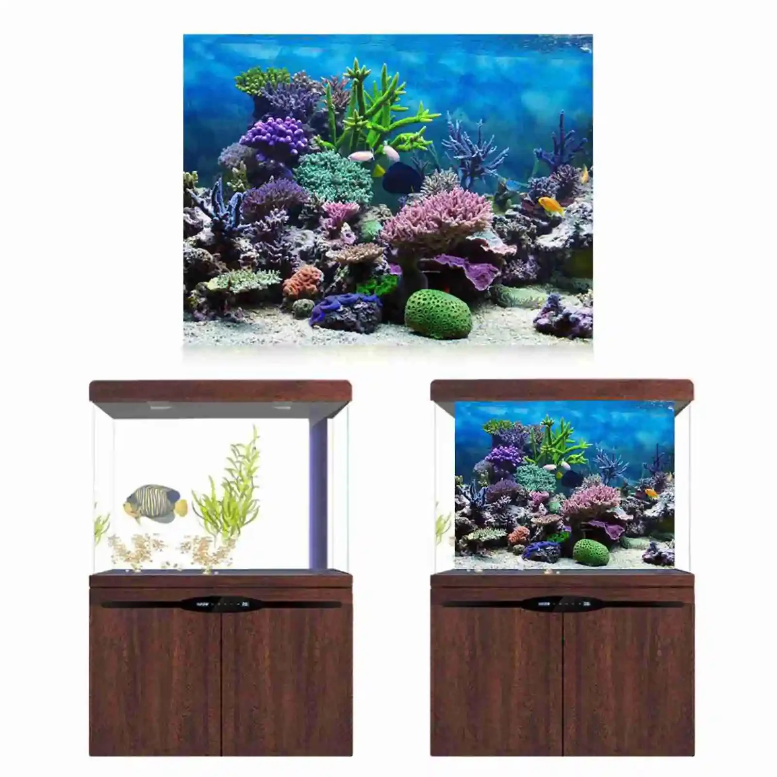 3D Aquarium Landscape Poster R - Aquarium Fish Poster 评论和价格