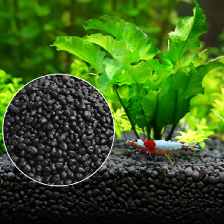 Aquarium Plant Seeds Soil Fish - Aquarium Fish Care 评论和价格