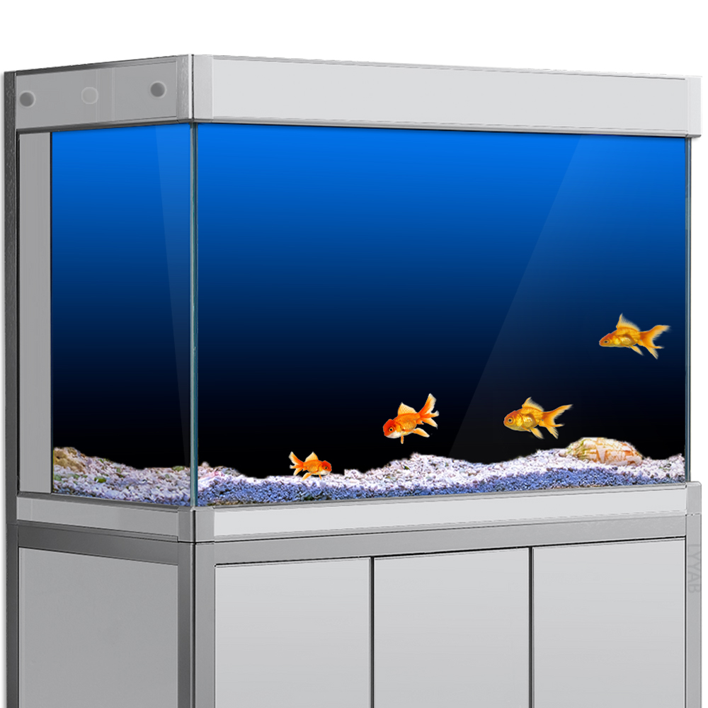 Fish Tank Background Sticker B - Aquarium Fish Background 评论和价格