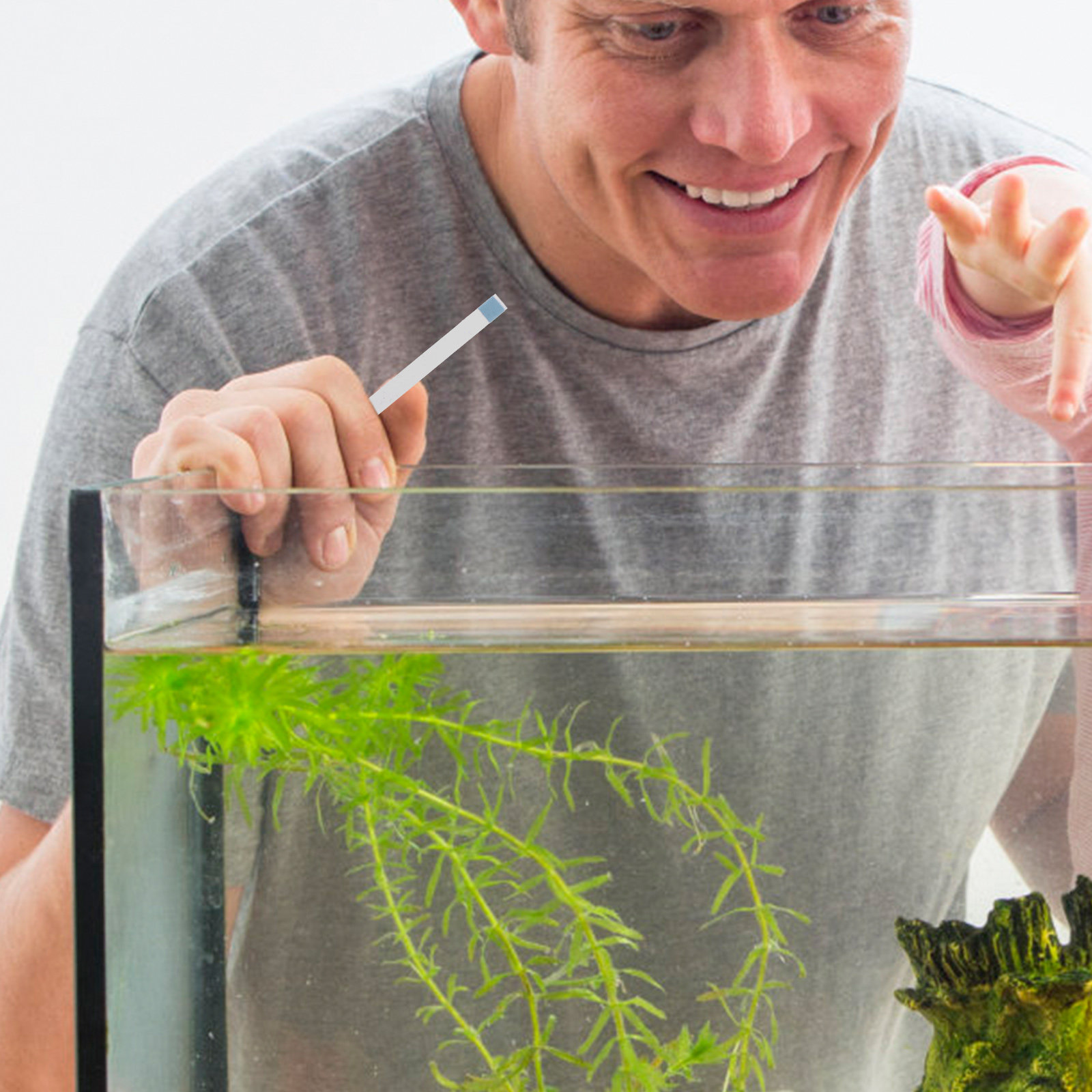 1 Box Water Hardness Test Stri - Aquarium Test Kit 评论和价格