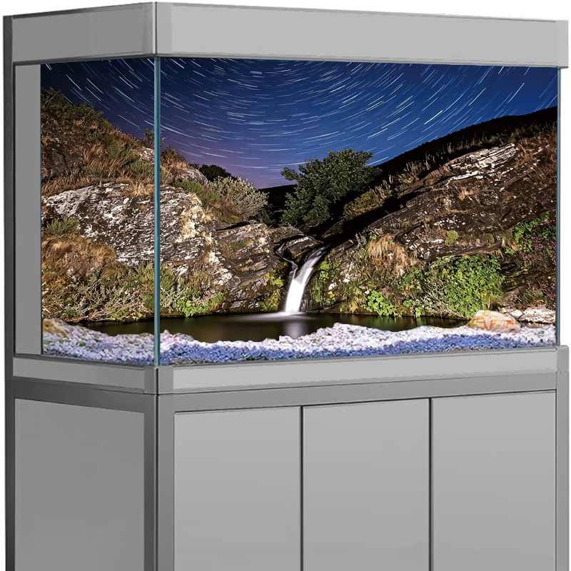 3D Tropical Beach Ocean Island - Aquarium Fish Poster 评论和价格
