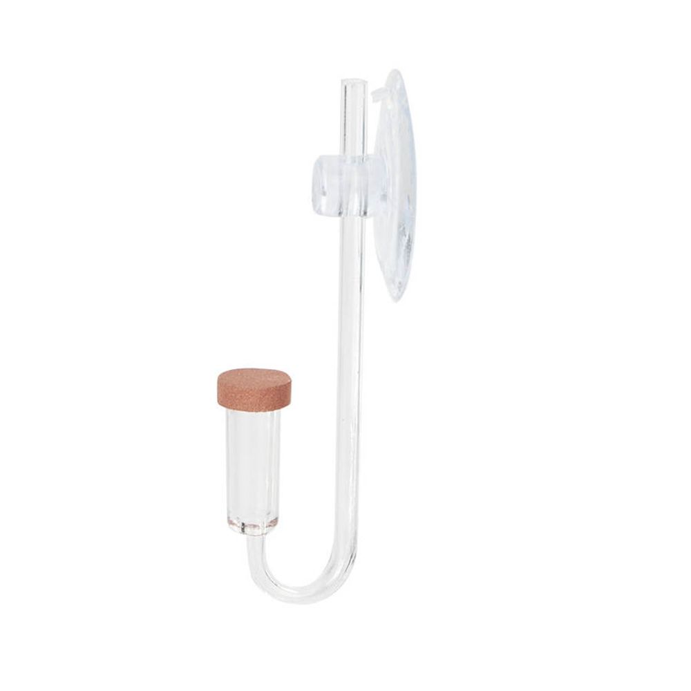 Acrylic Mini Fish Tank Live Pl - Aquarium Fish Live 评论和价格