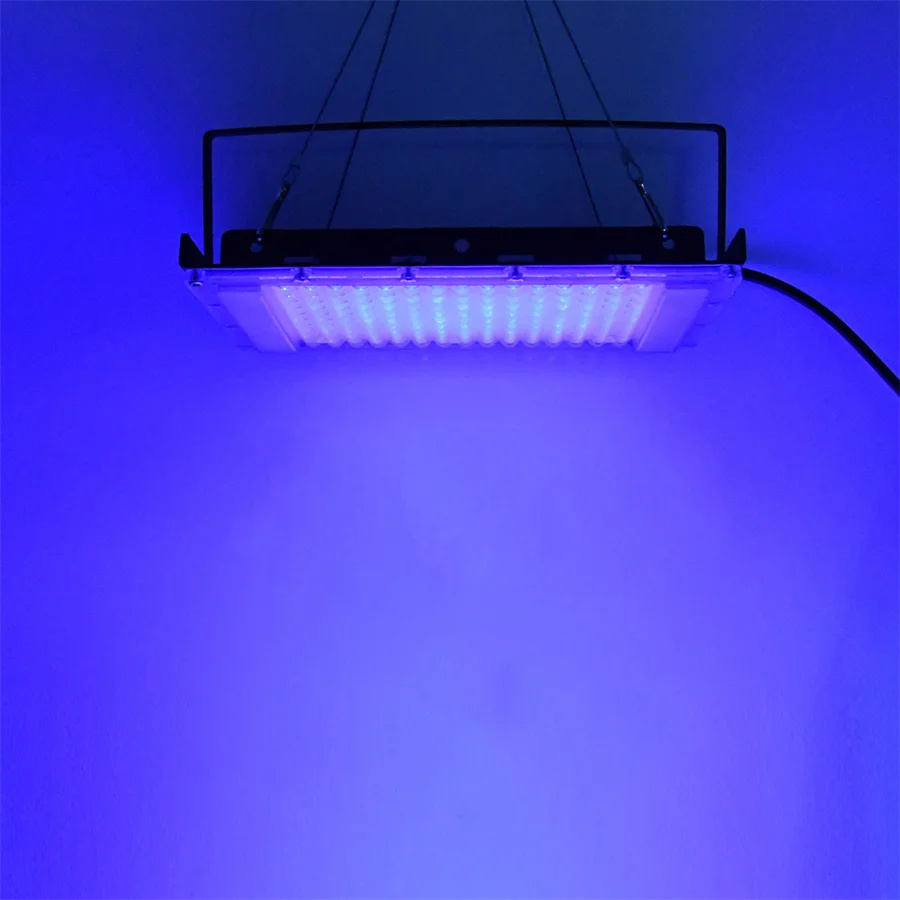 300W UV 395nm Black Light Ultr - Aquarium Fish Poster 评论和价格