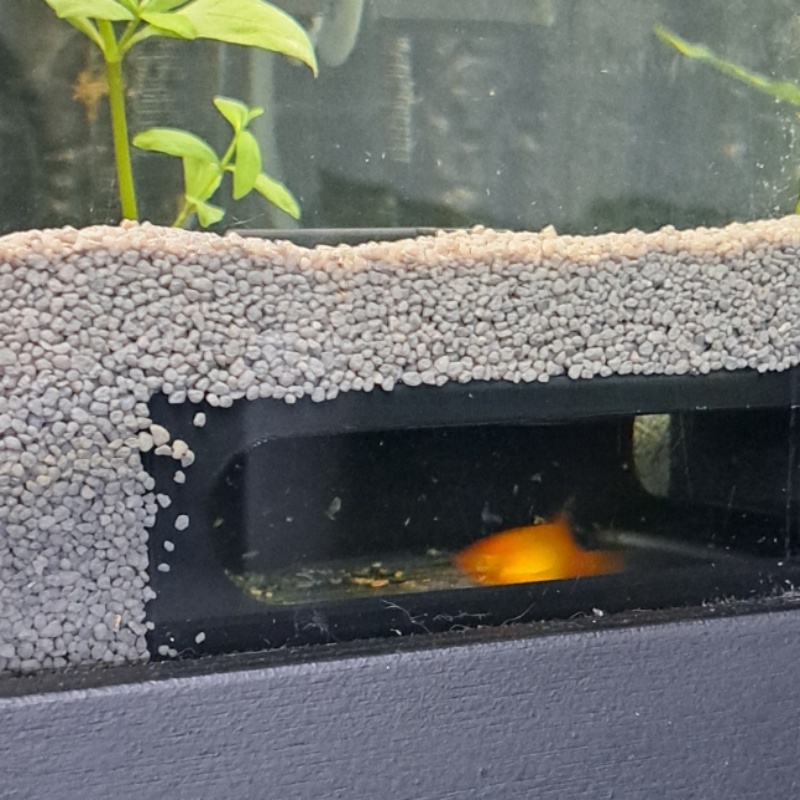 Half circle Aquarium Corner Fi - Aquarium Fish Paradise 评论和价格