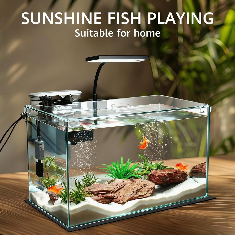 10 Gallon Glass Fish Tank with - Fish Toy In Aquarium 评论和价格