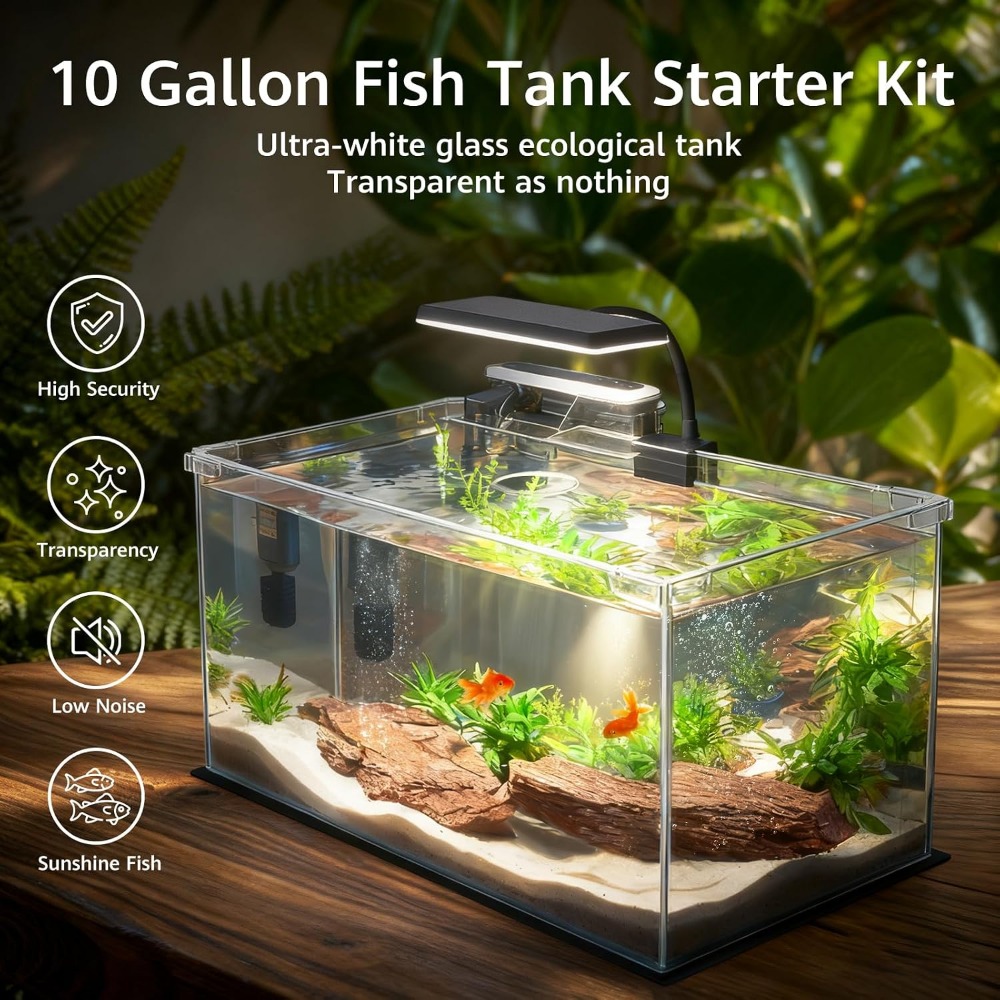 10 Gallon Glass Fish Tank with - Fish Toy In Aquarium 评论和价格