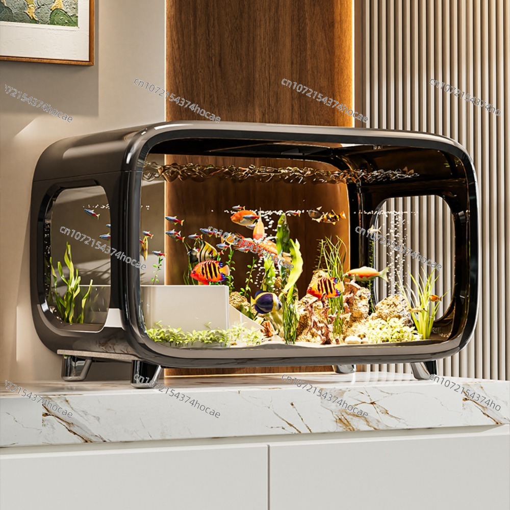 Creative Transparent Ecologica - Aquarium Fish Live 评论和价格