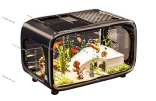 Creative Transparent Ecologica - Aquarium Fish Live 评论和价格