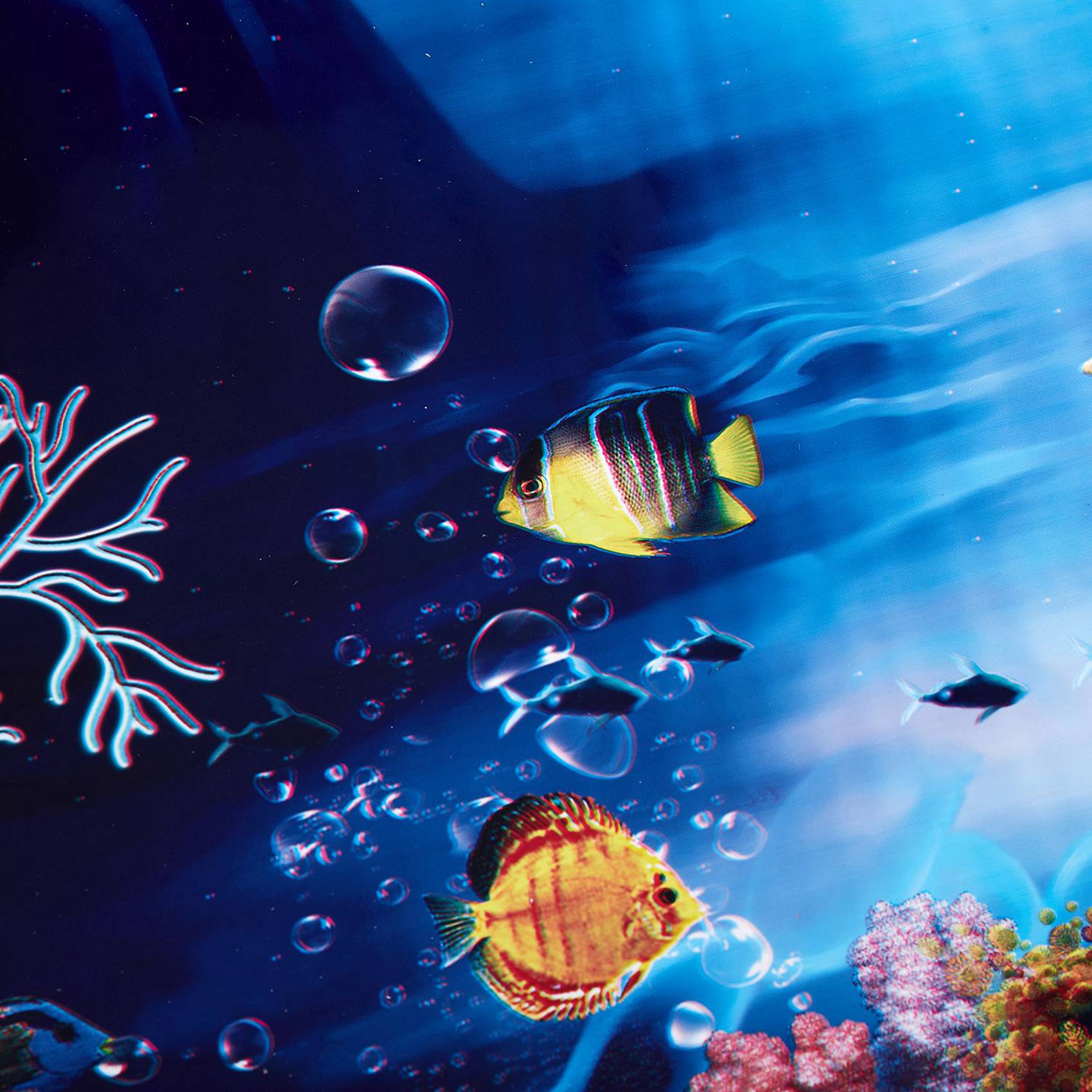 2X Blue Fresh Sea Background A - Aquarium Fish Poster 评论和价格